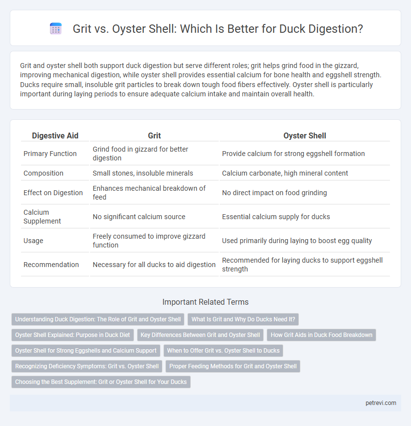 Grit vs. Oyster Shell: Which Is Better for Duck Digestion?