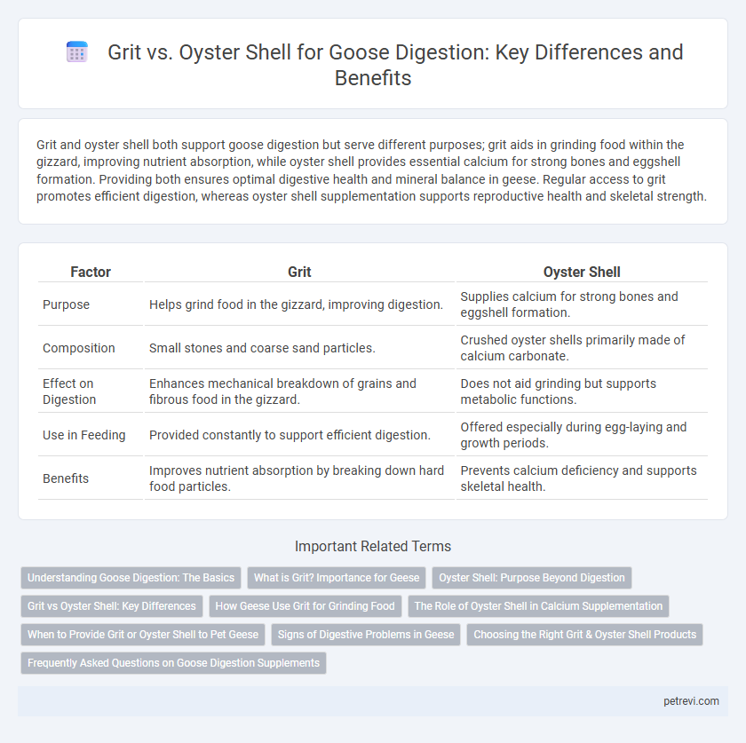 Grit vs. Oyster Shell for Goose Digestion: Key Differences and Benefits