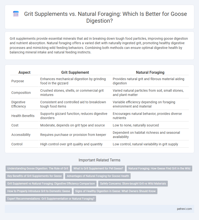 Grit Supplements vs. Natural Foraging: Which Is Better for Goose Digestion?