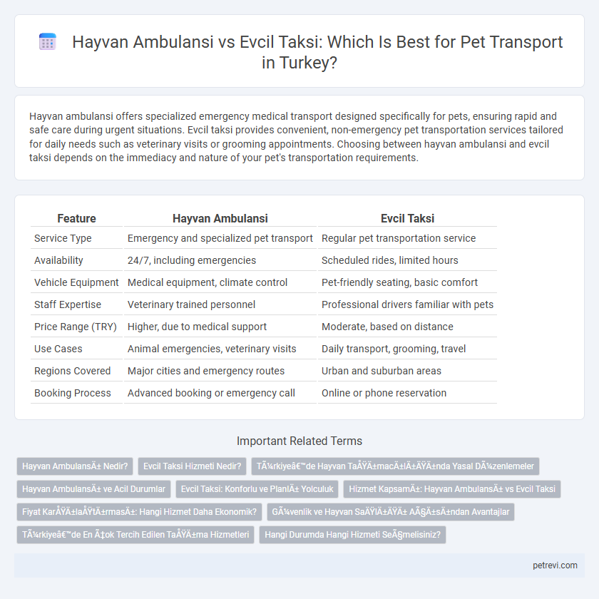 Hayvan Ambulansi vs Evcil Taksi: Which Is Best for Pet Transport in Turkey?