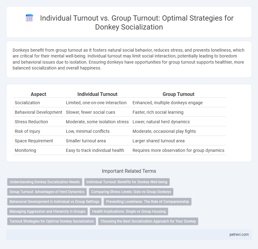 Individual Turnout vs. Group Turnout: Optimal Strategies for Donkey Socialization