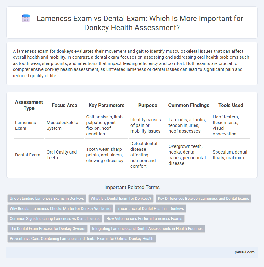 Lameness Exam vs Dental Exam: Which Is More Important for Donkey Health Assessment?