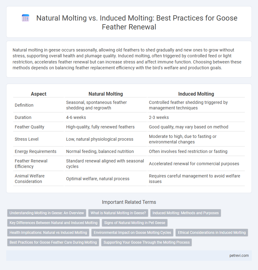 Natural Molting vs. Induced Molting: Best Practices for Goose Feather Renewal