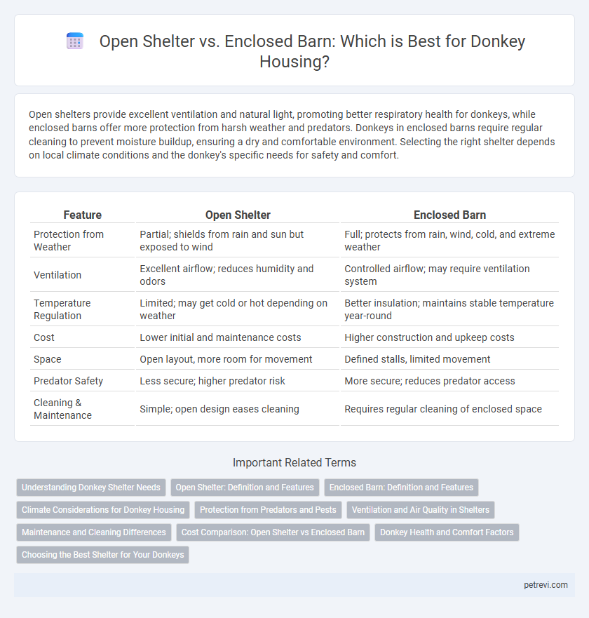 Open Shelter vs. Enclosed Barn: Which is Best for Donkey Housing?