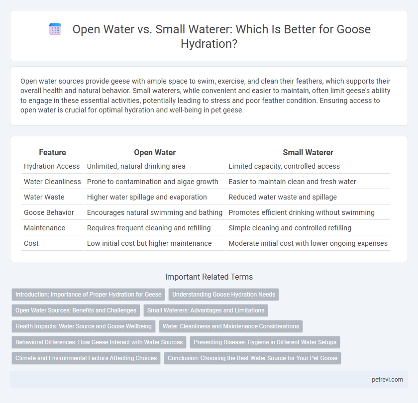Open Water vs. Small Waterer: Which Is Better for Goose Hydration?