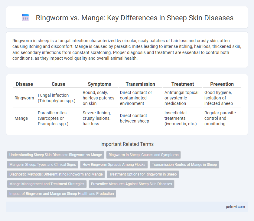 Ringworm vs. Mange: Key Differences in Sheep Skin Diseases