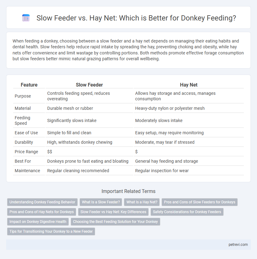 Slow Feeder vs. Hay Net: Which is Better for Donkey Feeding?