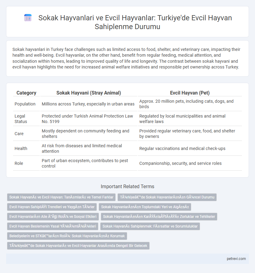 Sokak Hayvanlari ve Evcil Hayvanlar: Turkiye'de Evcil Hayvan Sahiplenme Durumu