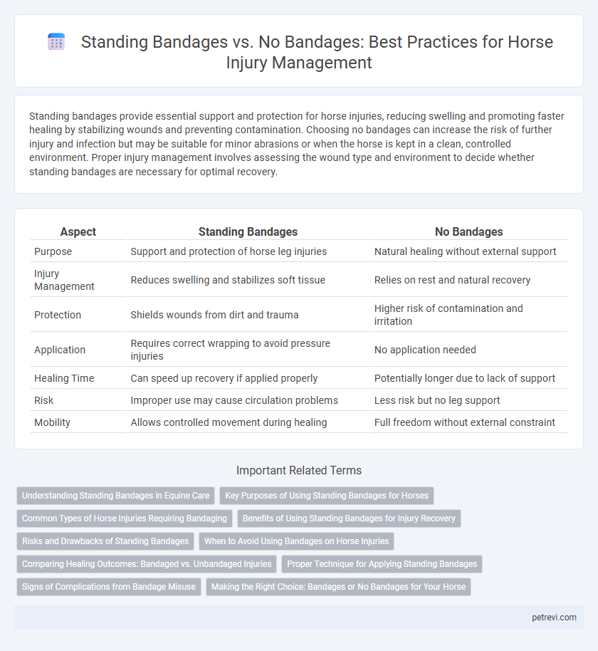 Standing Bandages vs. No Bandages: Best Practices for Horse Injury Management