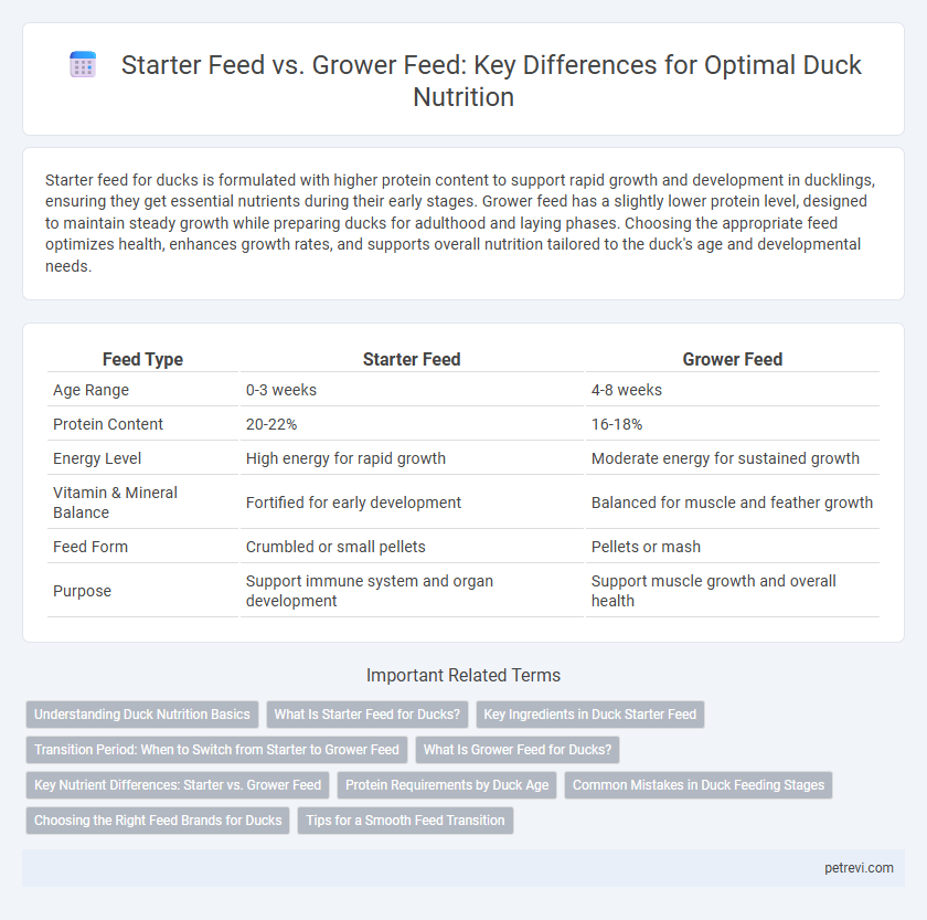 Starter Feed vs. Grower Feed: Key Differences for Optimal Duck Nutrition