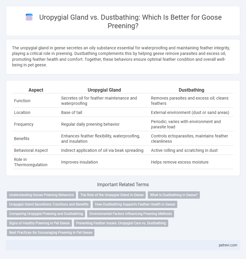 Uropygial Gland vs. Dustbathing: Which Is Better for Goose Preening?