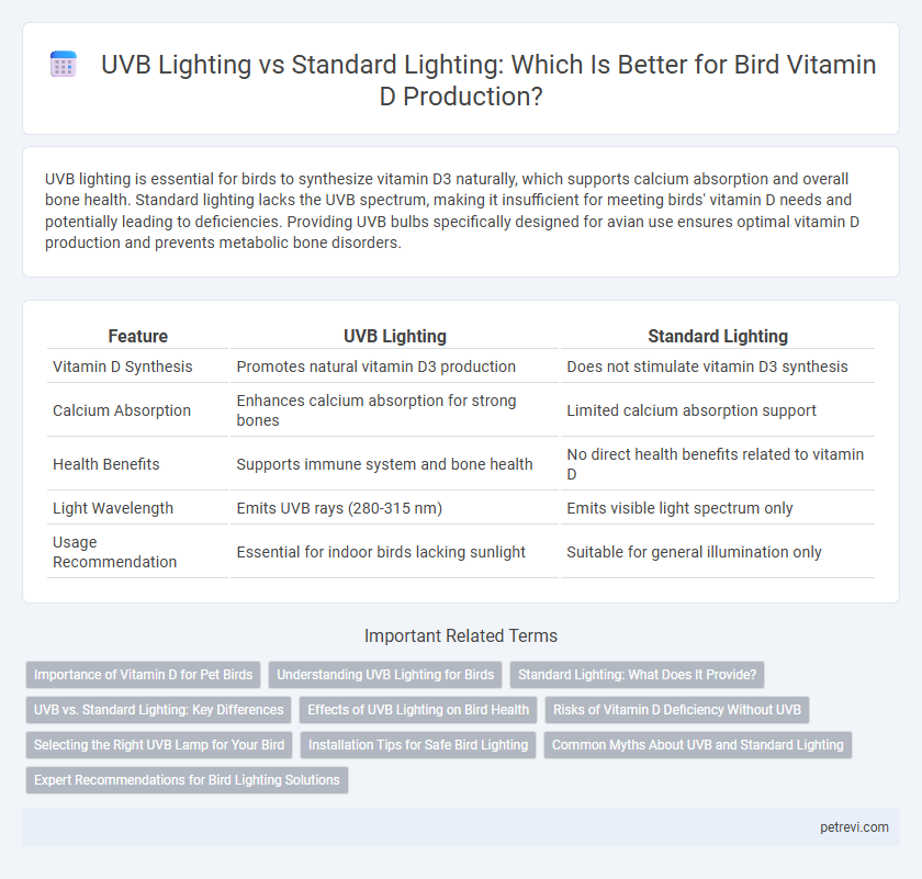 UVB Lighting vs Standard Lighting: Which Is Better for Bird Vitamin D Production?