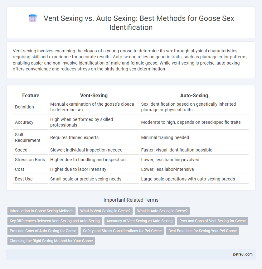 Vent Sexing vs. Auto Sexing: Best Methods for Goose Sex Identification