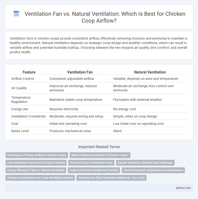 Ventilation Fan vs. Natural Ventilation: Which Is Best for Chicken Coop Airflow?