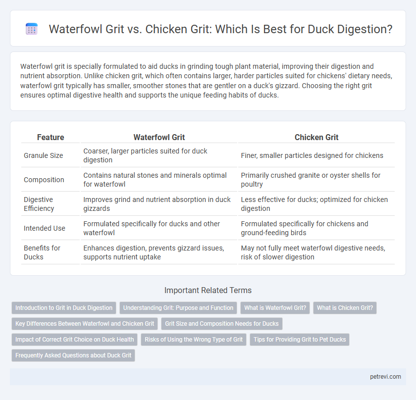 Waterfowl Grit vs. Chicken Grit: Which Is Best for Duck Digestion?