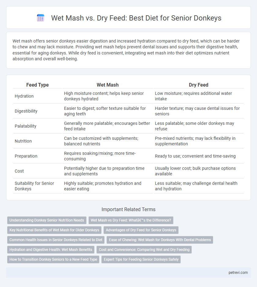 Wet Mash vs. Dry Feed: Best Diet for Senior Donkeys