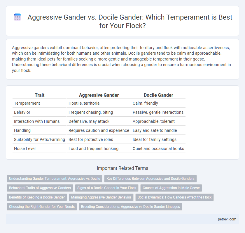 Aggressive Gander vs. Docile Gander: Which Temperament is Best for Your Flock?