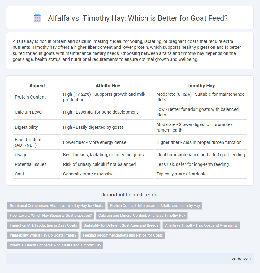 Alfalfa vs. Timothy Hay: Which is Better for Goat Feed?