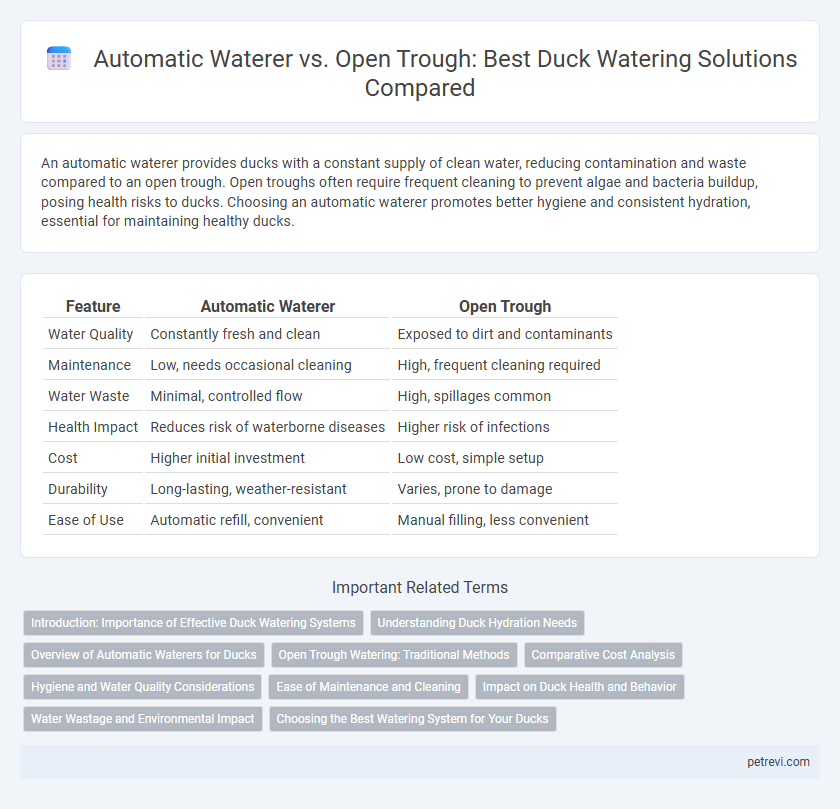 Automatic Waterer vs. Open Trough: Best Duck Watering Solutions Compared