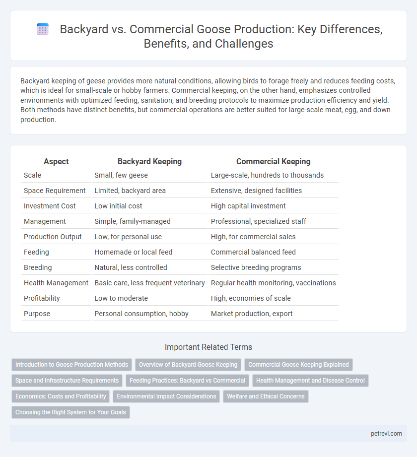 Backyard vs. Commercial Goose Production: Key Differences, Benefits, and Challenges
