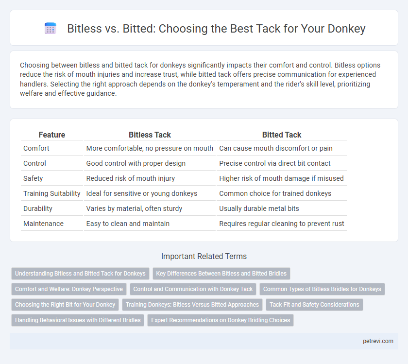 Bitless vs. Bitted: Choosing the Best Tack for Your Donkey