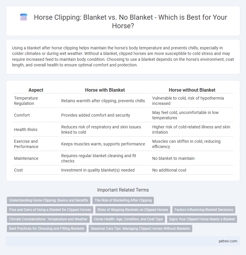 Horse Clipping: Blanket vs. No Blanket - Which is Best for Your Horse?