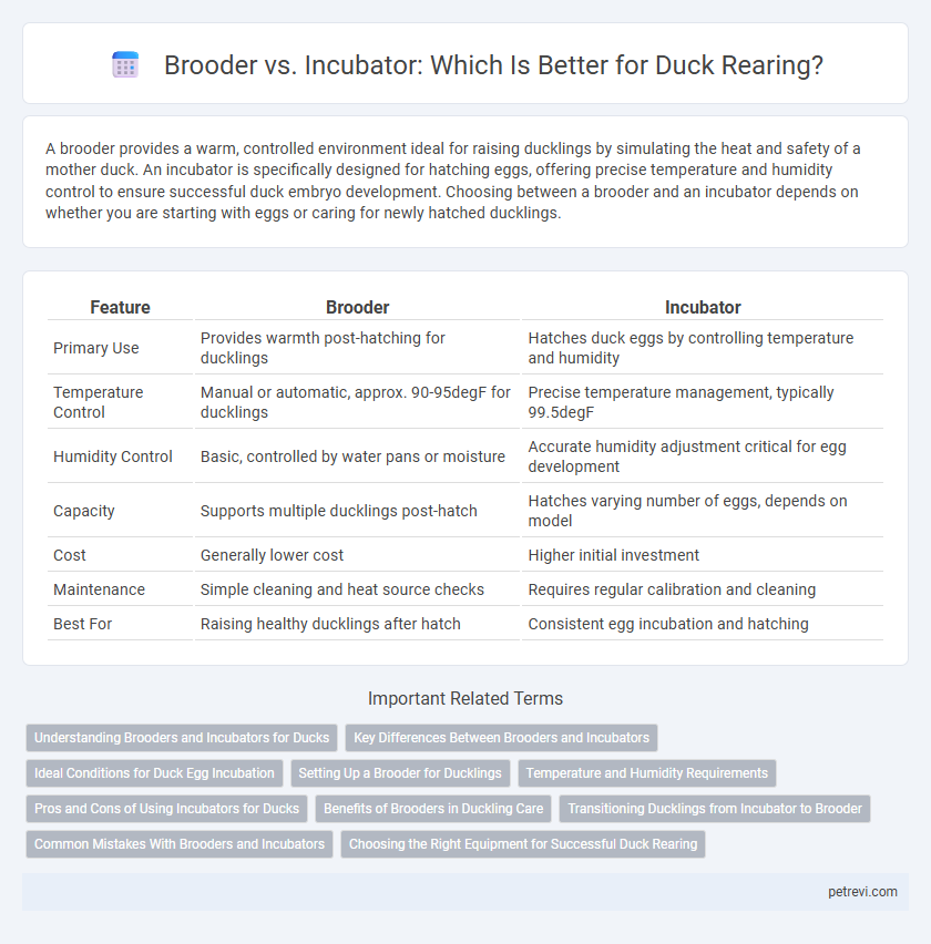 Brooder vs. Incubator: Which Is Better for Duck Rearing?