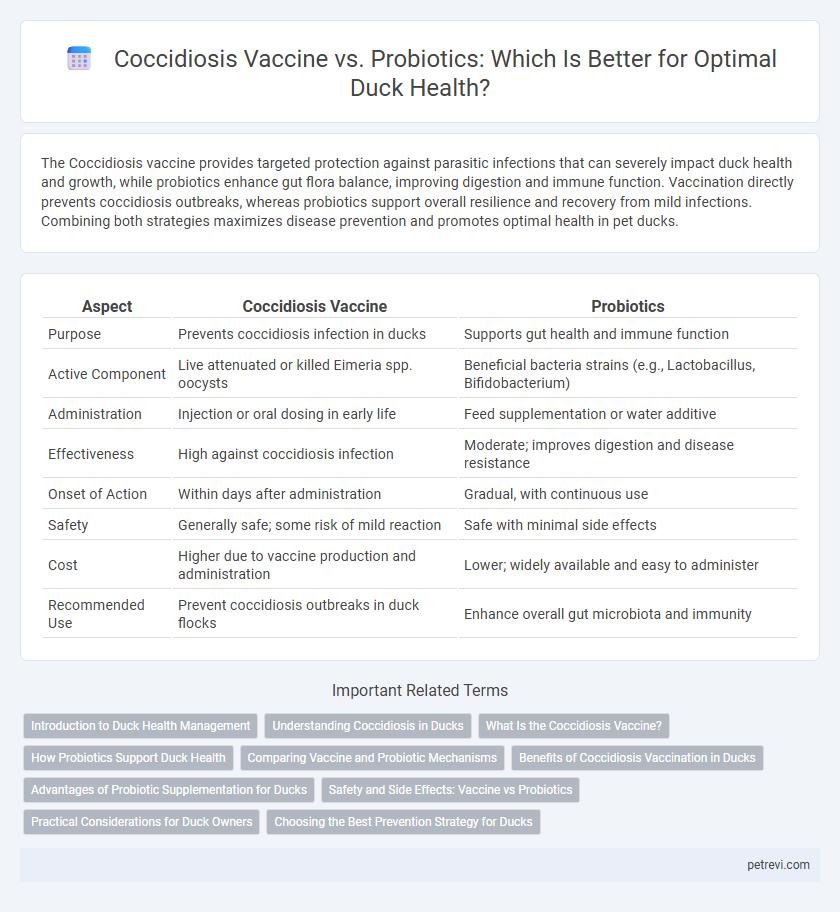 Coccidiosis Vaccine vs. Probiotics: Which Is Better for Optimal Duck Health?