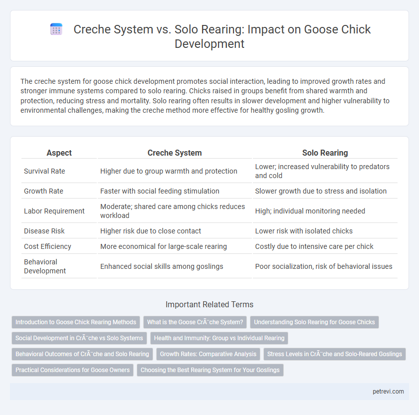 Creche System vs. Solo Rearing: Impact on Goose Chick Development