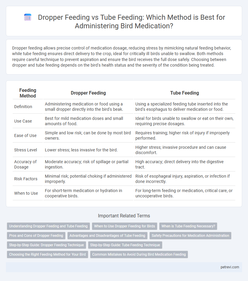 Dropper Feeding vs Tube Feeding: Which Method is Best for Administering Bird Medication?