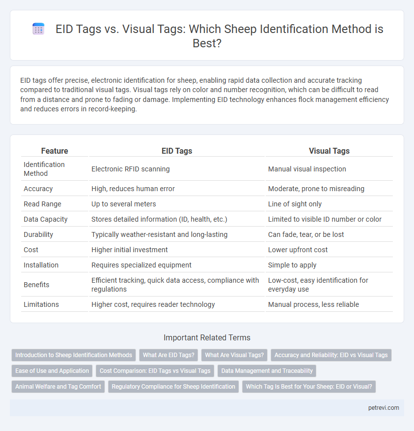 EID Tags vs. Visual Tags: Which Sheep Identification Method is Best?