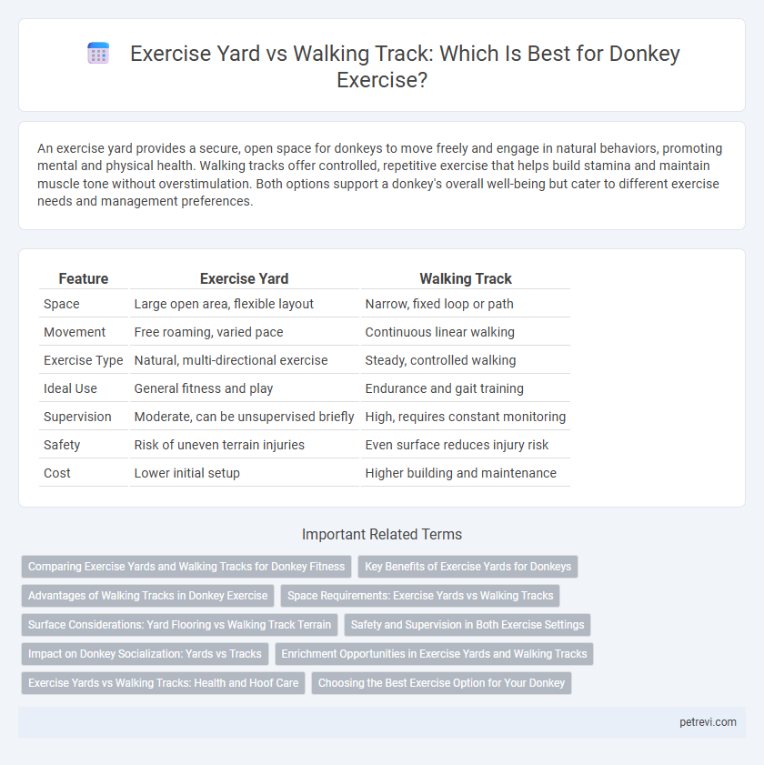 Exercise Yard vs Walking Track: Which Is Best for Donkey Exercise?
