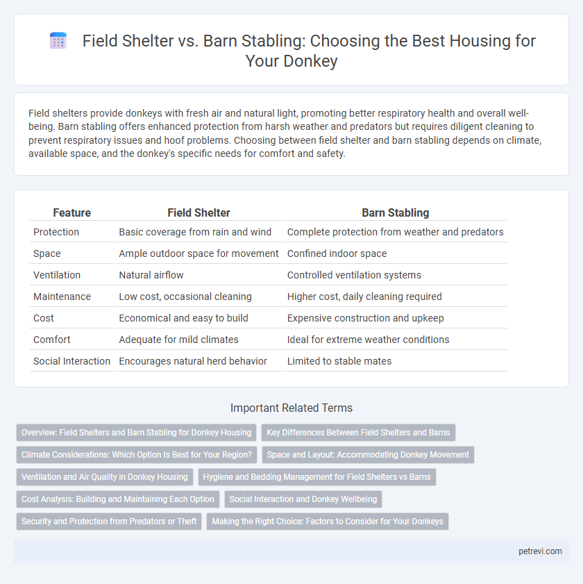 Field Shelter vs. Barn Stabling: Choosing the Best Housing for Your Donkey