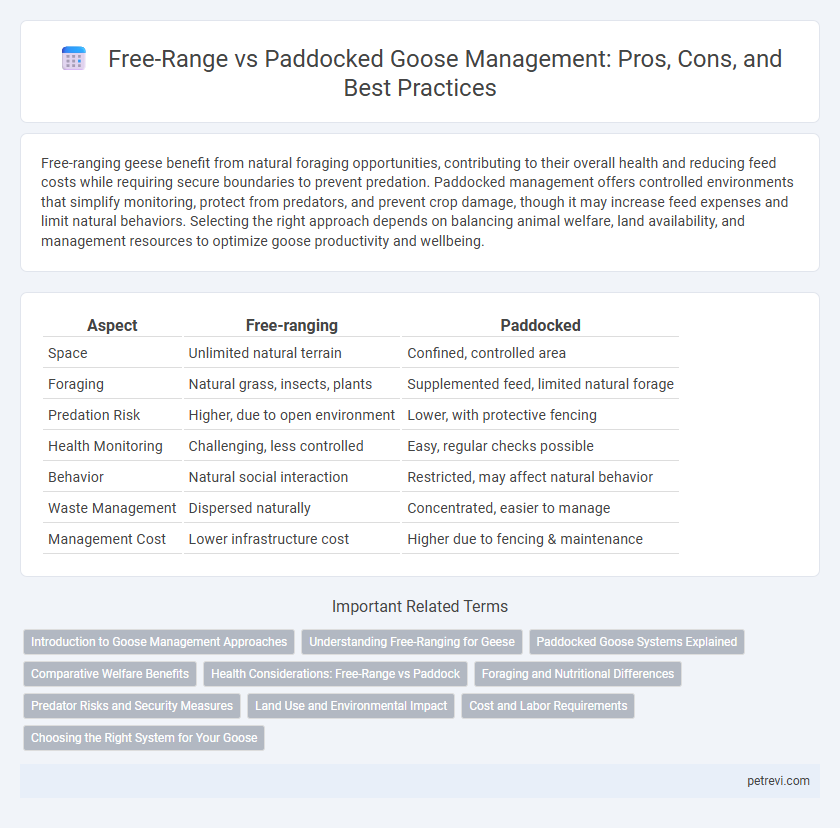 Free-Range vs Paddocked Goose Management: Pros, Cons, and Best Practices