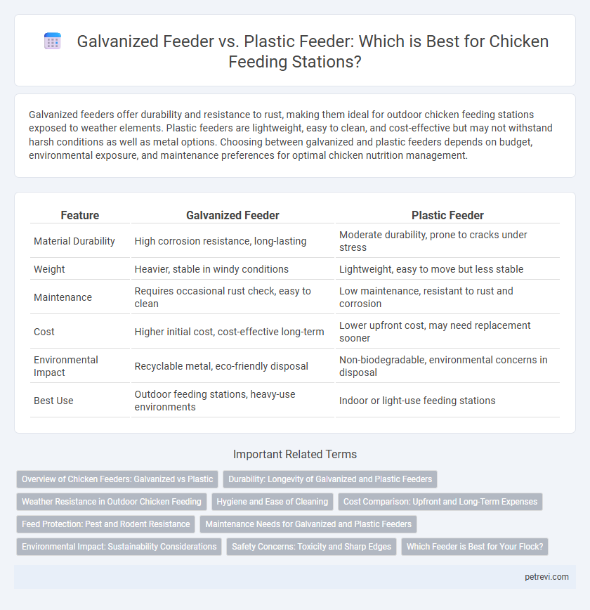 Galvanized Feeder vs. Plastic Feeder: Which is Best for Chicken Feeding Stations?
