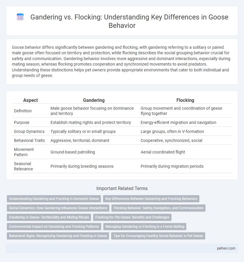 Gandering vs. Flocking: Understanding Key Differences in Goose Behavior