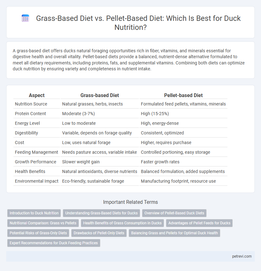 Grass-Based Diet vs. Pellet-Based Diet: Which Is Best for Duck Nutrition?