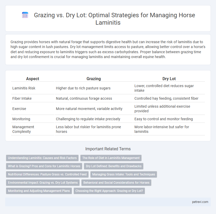 Grazing vs. Dry Lot: Optimal Strategies for Managing Horse Laminitis