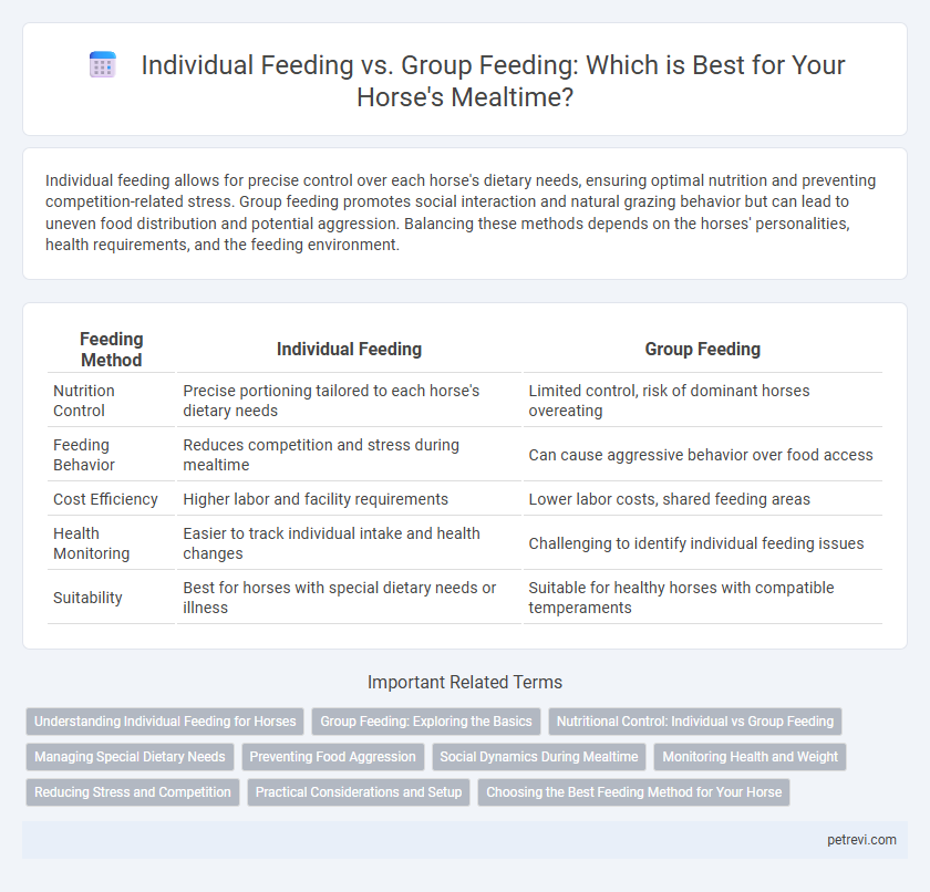 Individual Feeding vs. Group Feeding: Which is Best for Your Horse's Mealtime?