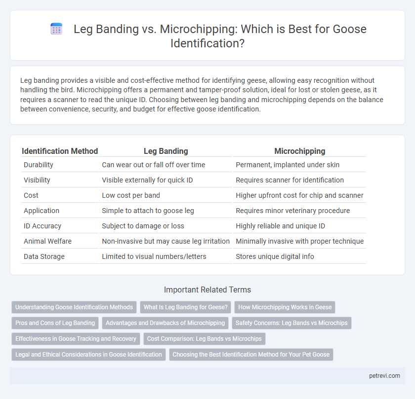 Leg Banding vs. Microchipping: Which is Best for Goose Identification?