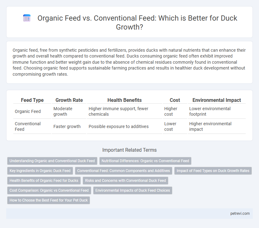 Organic Feed vs. Conventional Feed: Which is Better for Duck Growth?