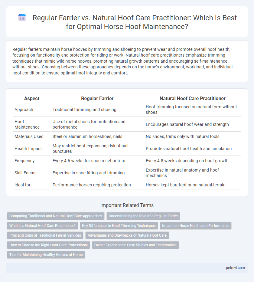 Regular Farrier vs. Natural Hoof Care Practitioner: Which Is Best for Optimal Horse Hoof Maintenance?