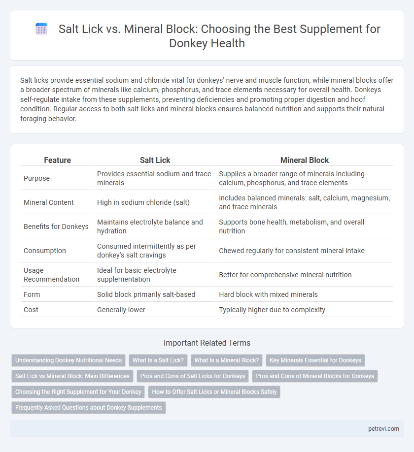 Salt Lick vs. Mineral Block: Choosing the Best Supplement for Donkey Health