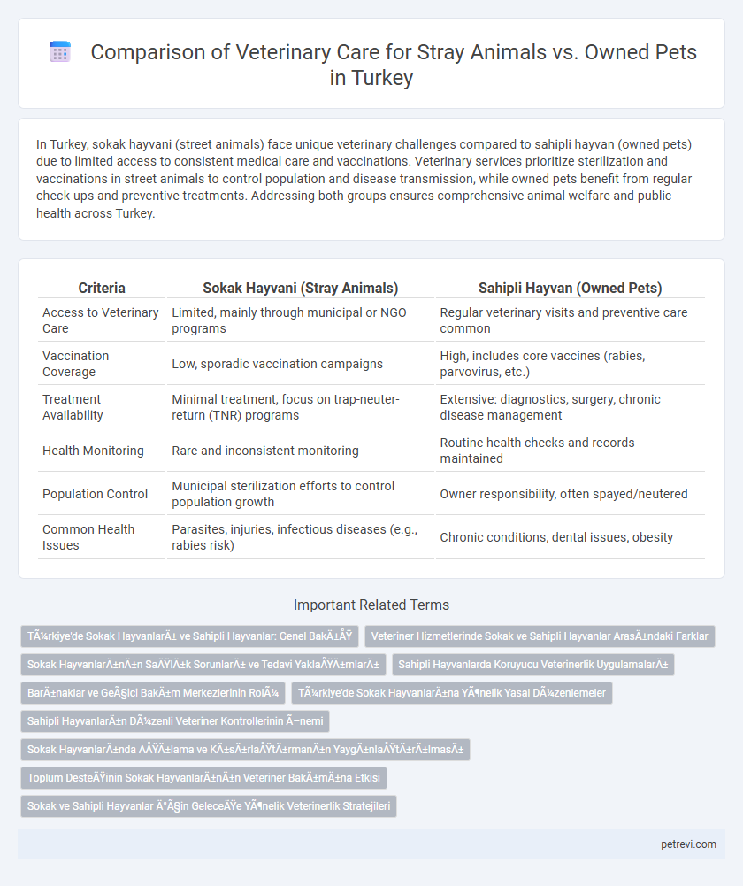 Comparison of Veterinary Care for Stray Animals vs. Owned Pets in Turkey