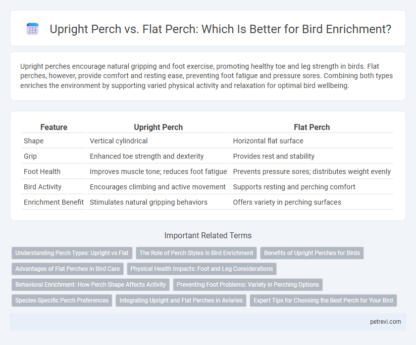 Upright Perch vs. Flat Perch: Which Is Better for Bird Enrichment?
