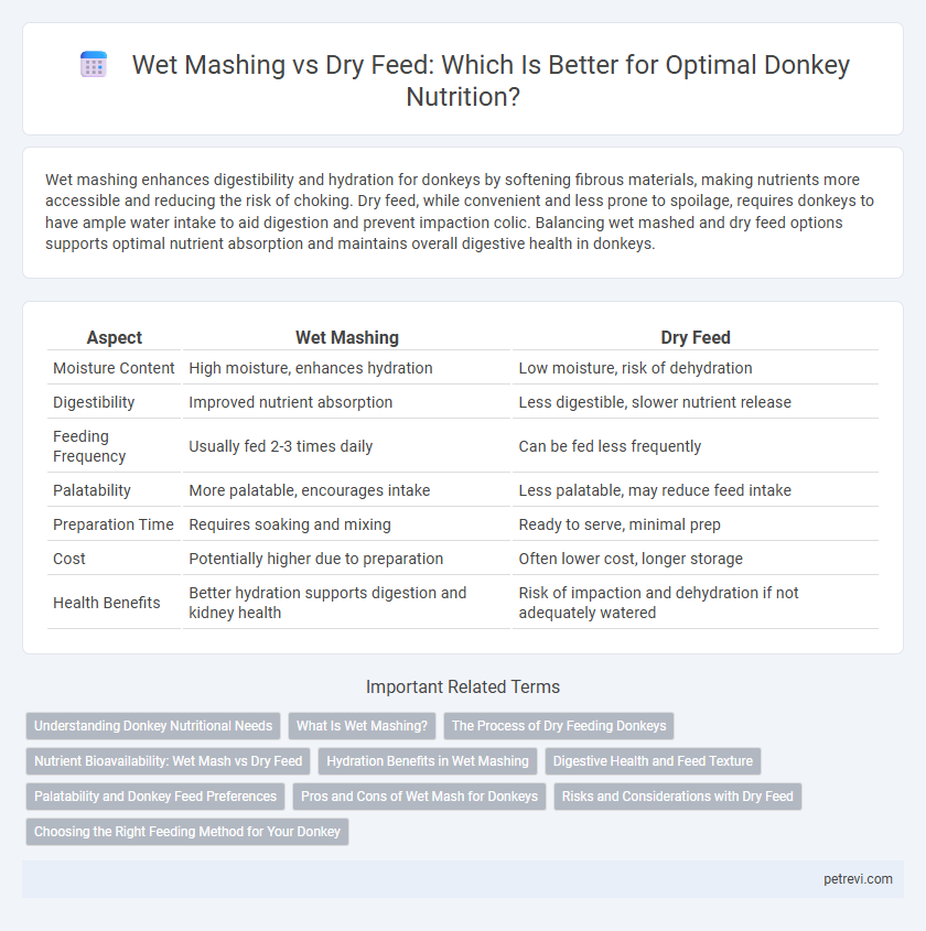 Wet Mashing vs Dry Feed: Which Is Better for Optimal Donkey Nutrition?