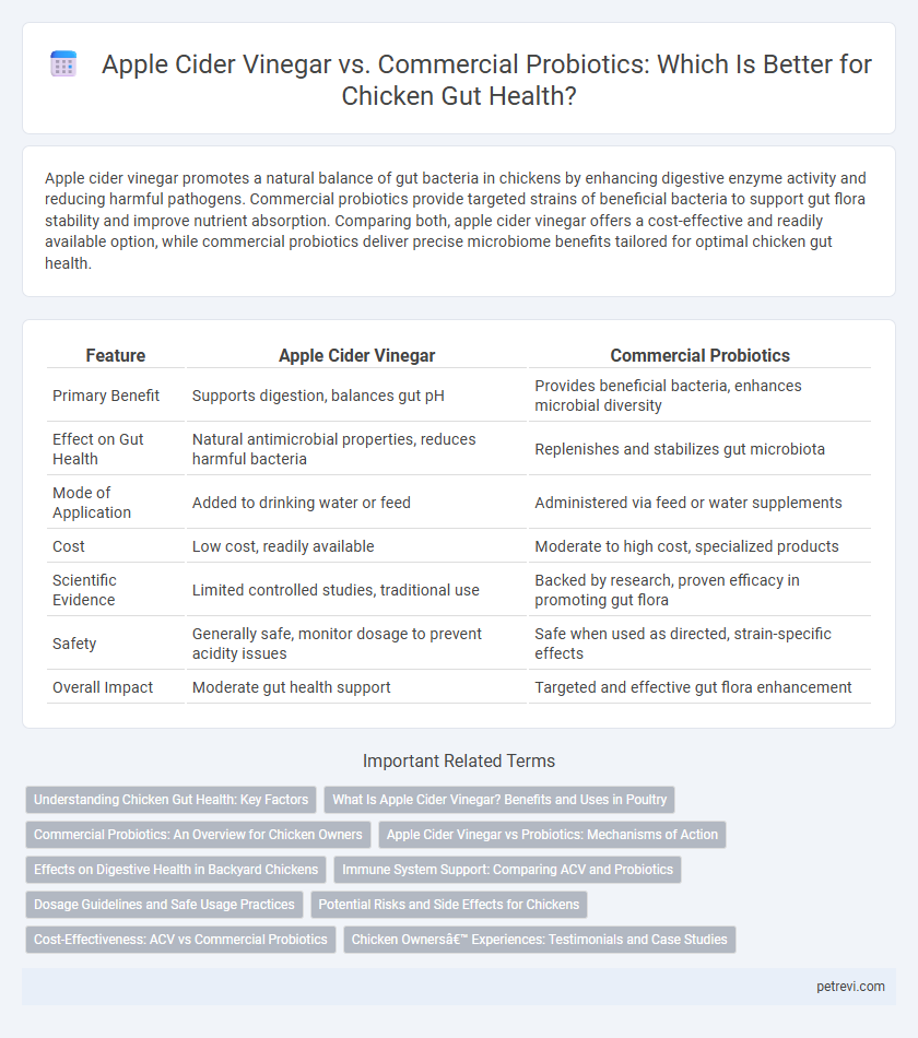 Apple Cider Vinegar vs. Commercial Probiotics: Which Is Better for Chicken Gut Health?