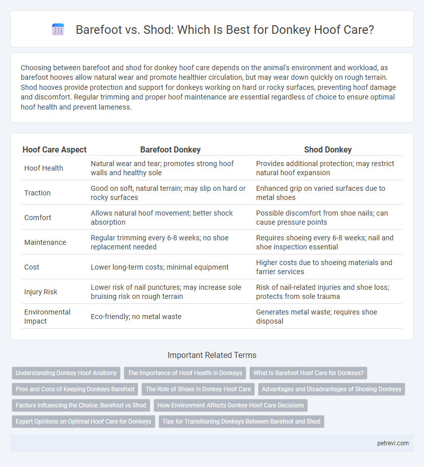 Barefoot vs. Shod: Which Is Best for Donkey Hoof Care?