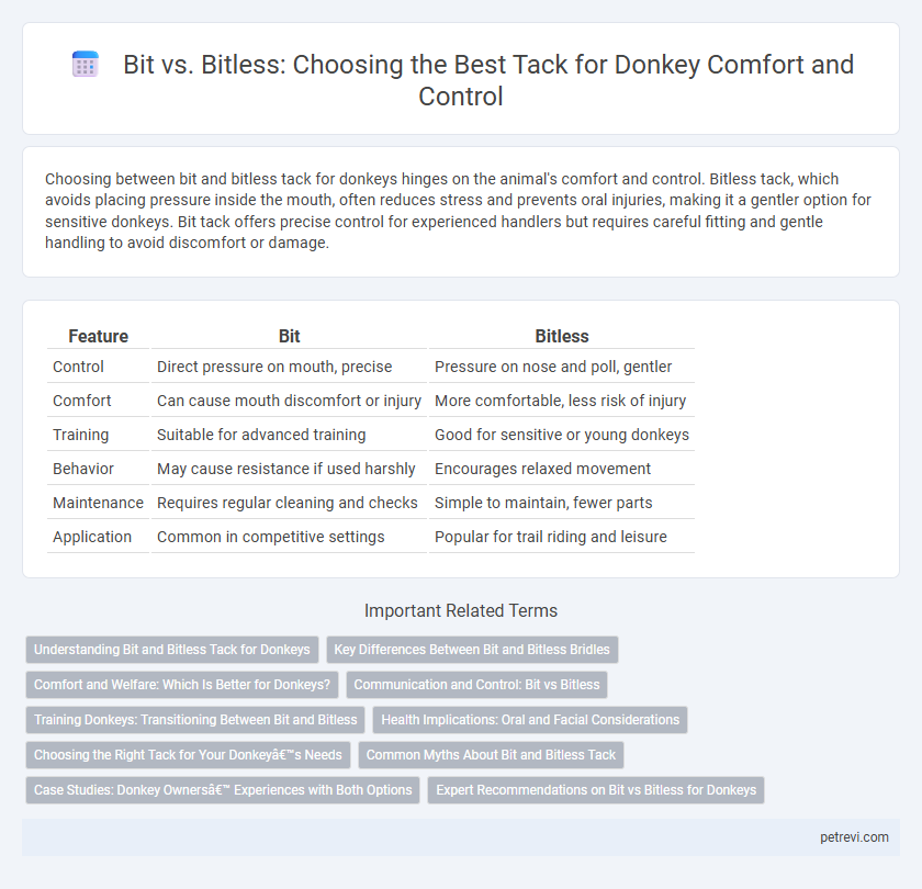 Bit vs. Bitless: Choosing the Best Tack for Donkey Comfort and Control