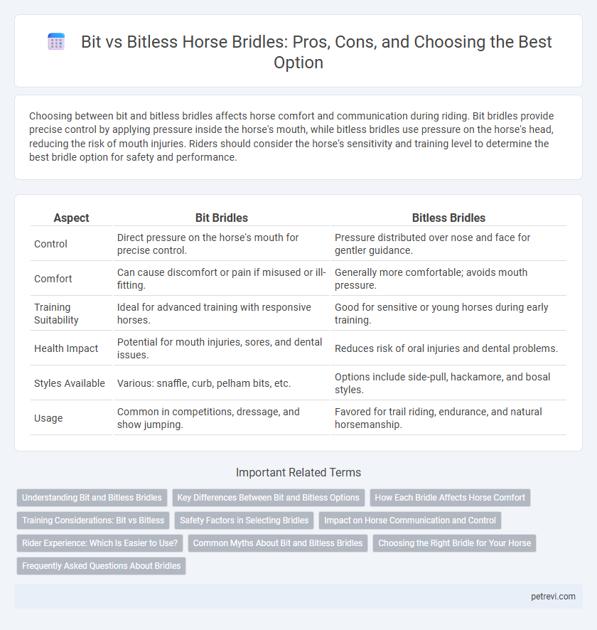 Bit vs Bitless Horse Bridles: Pros, Cons, and Choosing the Best Option